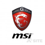 MSI