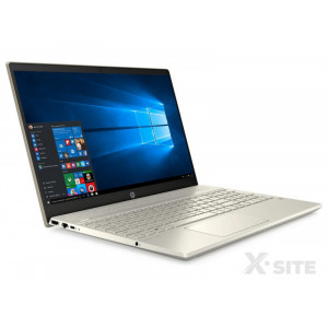 HP Pavilion 15 i5-1035G1/8GB/960/Win10 Gold (15-cs3020nw (8XL06EA)-960 PCIe)