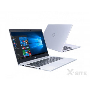 HP ProBook 450 G7 i5-10210/32GB/960/Win10P (9HP83EA)